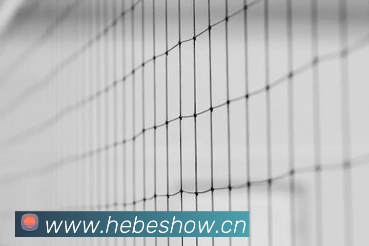 环球体育平台官网发展历程